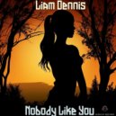 Liam Dennis - Nobody Like You (Original Mix)