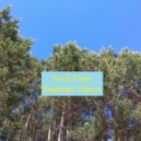 Evol Tone - Summer Times ()