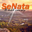 SeNata - Я тебе скажу