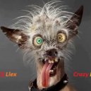 Dj .Llex - Grazy Day