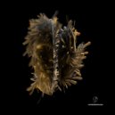 ARTBAT, Another Life - Breathe In