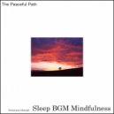 Sleep BGM Mindfulness - Ethereal Delight (Original Mix)