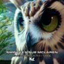 SMR LVE & Sue McLaren - Every Breath I Take (Extended Mix)