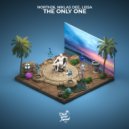 NORTH26, Niklas Dee, LissA - The Only One (Original Mix)