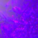 Pablo Jordán - Drommeten