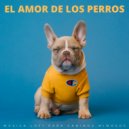 Alguna música & Relájate la música de mi perro & Relax mi perro música - Recuerdos Del Amanecer ()