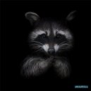 Dj Vl Raccoon - U droom (Original)