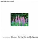 Sleep BGM Mindfulness - Mystical Visions (Original Mix)