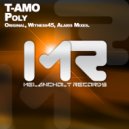 T-Amo - Poly (Alaris Remix)