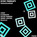 Sync Therapy - Intoxicated (D.Goblets Remix)