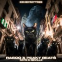Rasco & Peaky Beats - Cats In Seville (Original Mix)