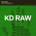 Polyvinyl - Shock Factor (Original Mix)