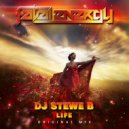 DJ Stewe B - Life
