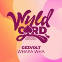 Gezvolt - Time To Trip