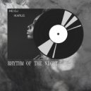 MD Dj & Ikarus - Rhythm Of The Night