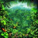 Rainforest Rhythms Collective - Harmonic Biodiversity ()