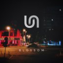 SunJo & 2.22am - Blossom ()