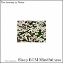 Sleep BGM Mindfulness - Mystic Meadow (Original Mix)