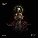 Ray Silva - Earth (Original Mix)