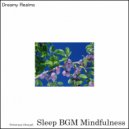 Sleep BGM Mindfulness - Peaceful Music
