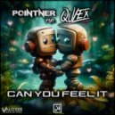 Pointner, Qulex - Can You Feel It (Original Mix)